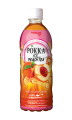 Pokka Ice Peach Tea - 500ml x 24