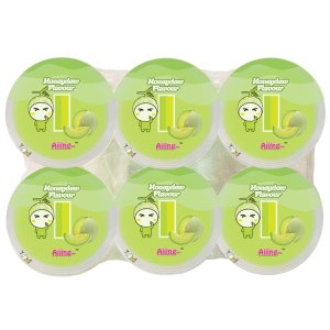 Aiiing Pudding Cups - Honeydew Melon 110g x 6 cups x 16 pkts v10 - Honeydew